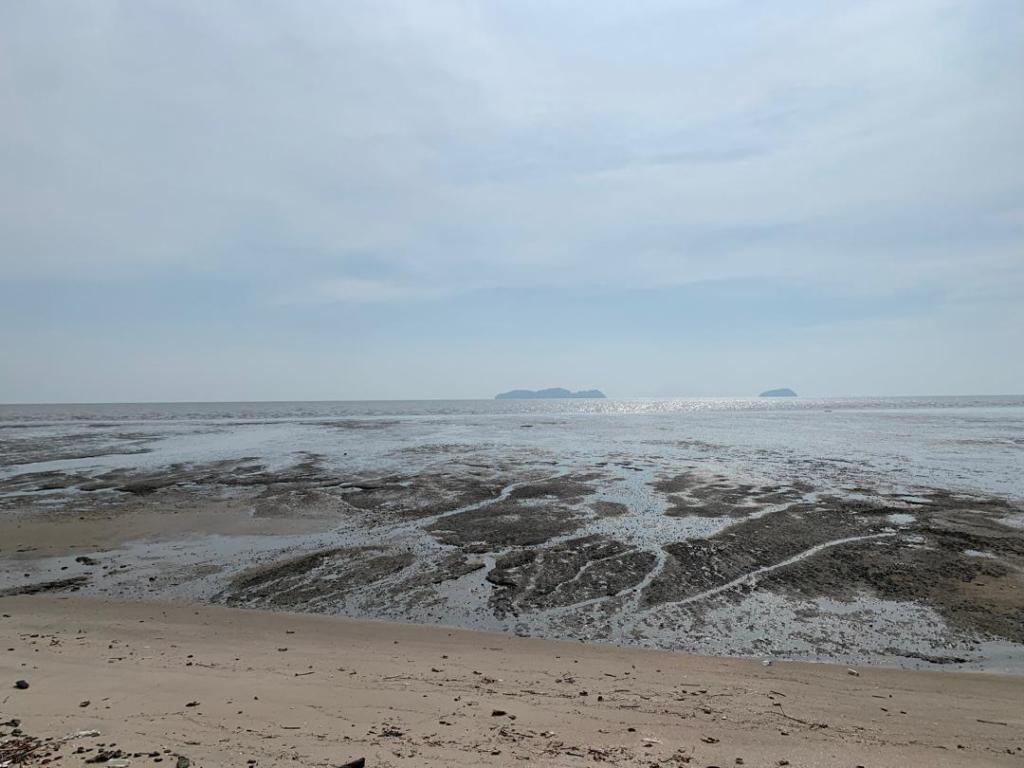 Potential Site Visit — 29 April&nbsp;2026